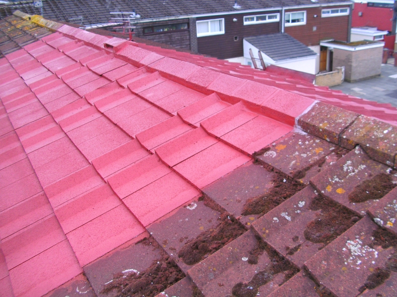 roof-coating-red-gleam-team